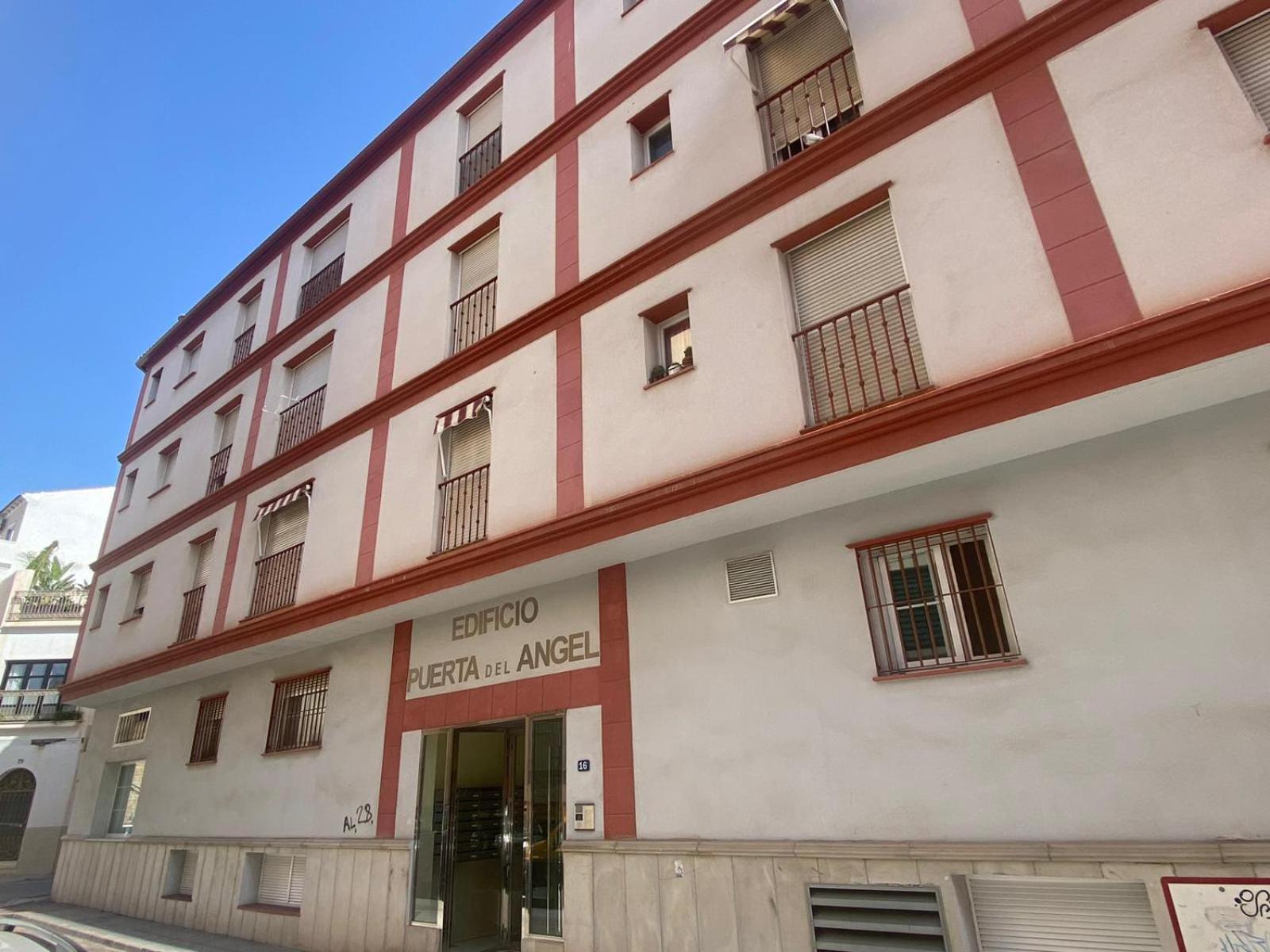 Maravilloso Apartamento Centrico De 70M2, Jardin Propio 40M2 Con Piscina Para Ninos Y Parking Opcional Málaga Dış mekan fotoğraf