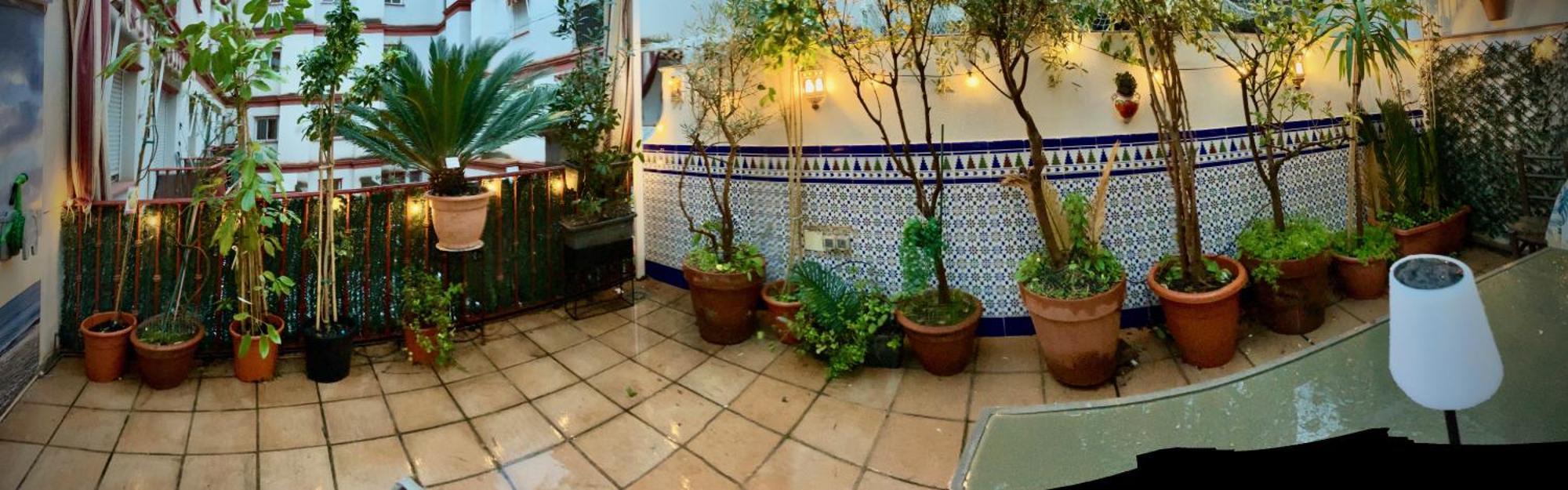 Maravilloso Apartamento Centrico De 70M2, Jardin Propio 40M2 Con Piscina Para Ninos Y Parking Opcional Málaga Dış mekan fotoğraf